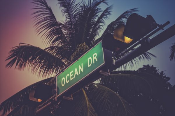 Coconut palm tree against Ocean Drive sign in Miami Beach