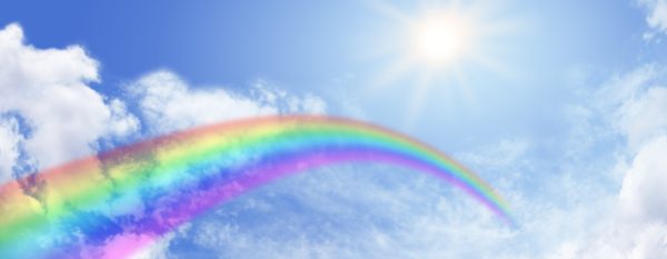 Rainbow Website Banner Header