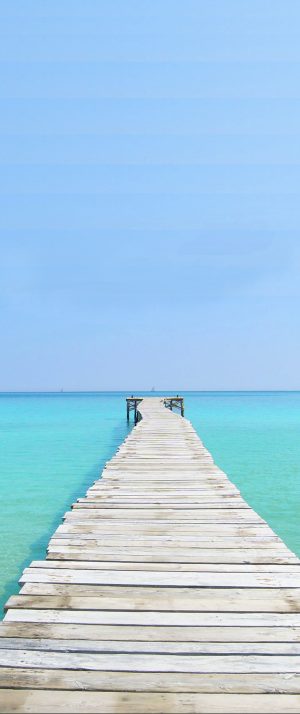 Self-Adhesive - 970W x 2310H