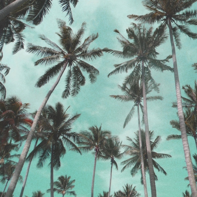 Self-Adhesive - 4000W x 2660H