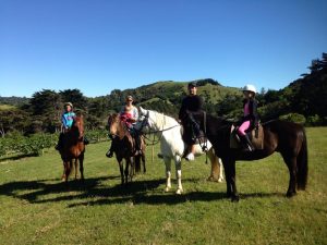 Self-Adhesive - 2550W x 2260H