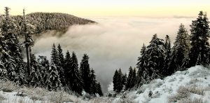 Self-Adhesive - 5512W x 2337H