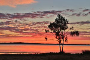 Self-Adhesive - 2200W x 1200H