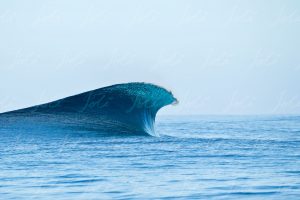 Tahiti wave