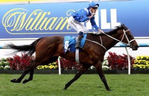 Self-Adhesive - 3000W x 1800H