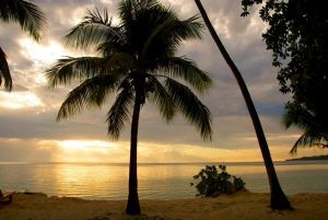 Self-Adhesive - 1500W x 1500H