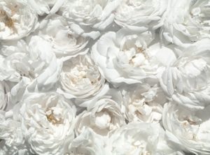 Self-Adhesive - 3940W x 2880H