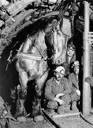 Self-Adhesive - 2000W x 1000H