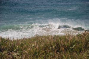 Self-Adhesive - 3000W x 2000H