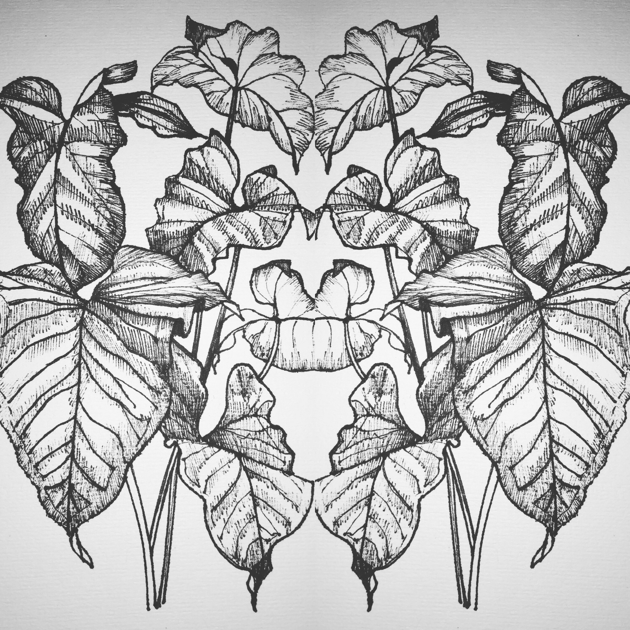 Self-Adhesive - 2000W x 2000H