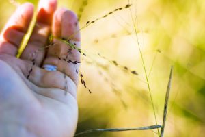 Self-Adhesive - 5000W x 2000H