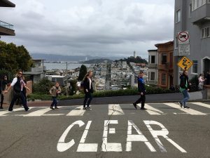 Self-Adhesive - 2200W x 900H