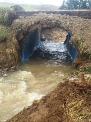 Self-Adhesive - 2000W x 1000H