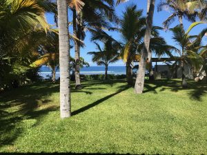 Self-Adhesive - 2440W x 770H