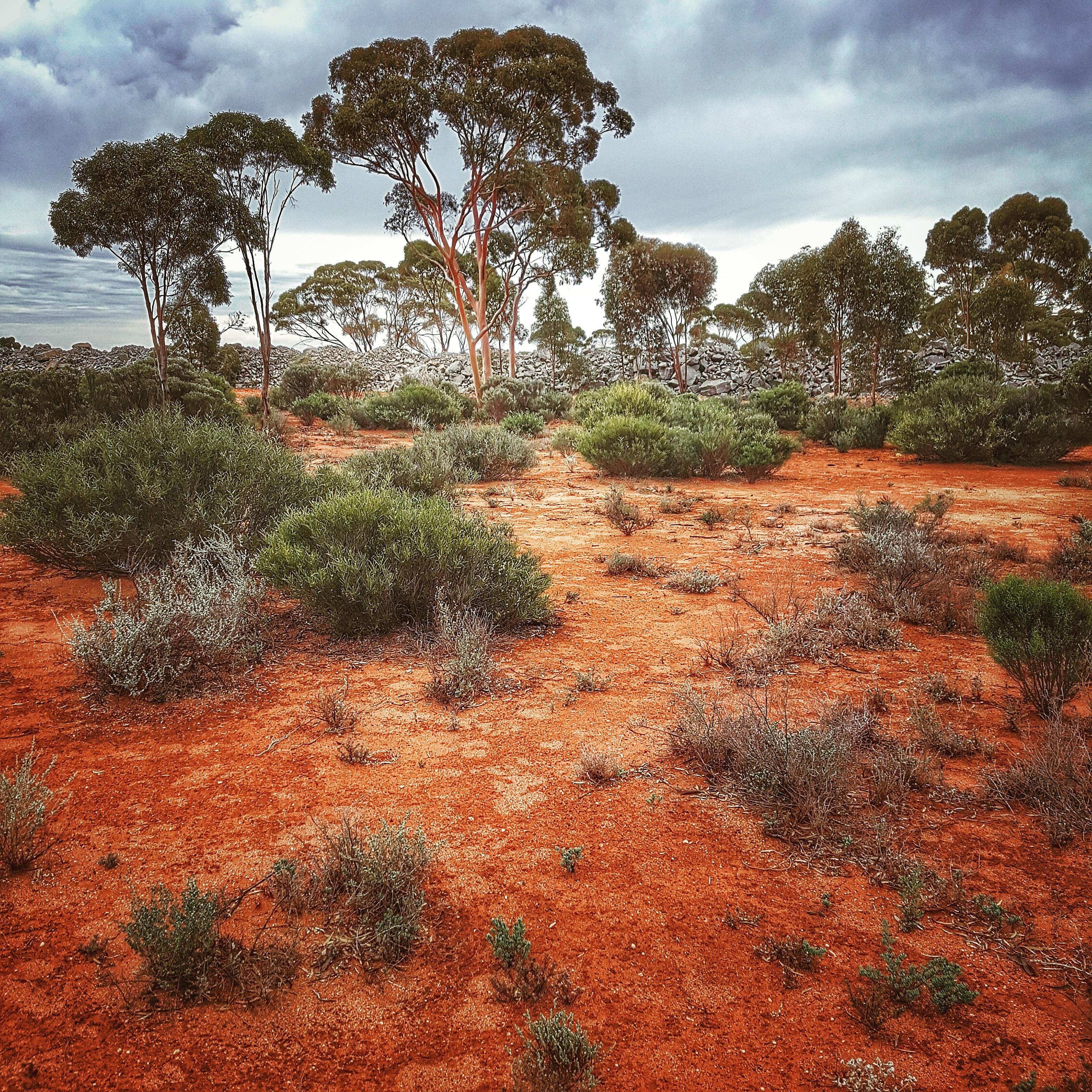 Self-Adhesive - 1500W x 1500H