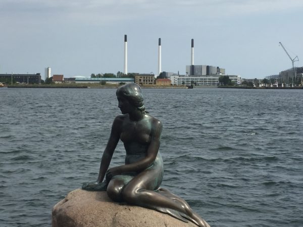 IMG_0993