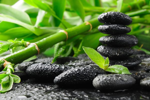 Meditation and Zen Stones in Bamboo