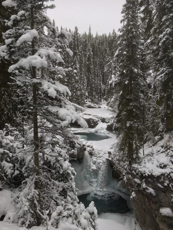 Johnston canyon