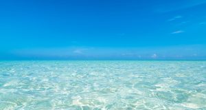 Clear Blue Water