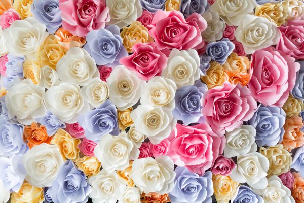 Backdrop of colorful paper roses