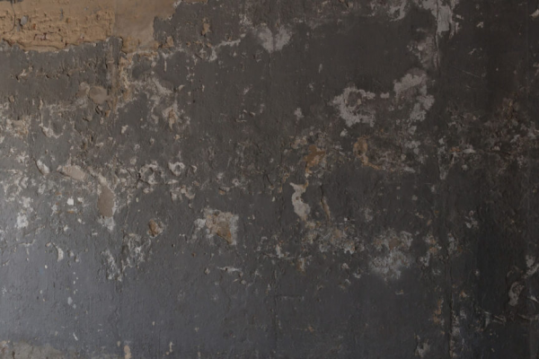 cropped_1598831181.jpg