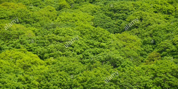 cropped_1598831449.jpg
