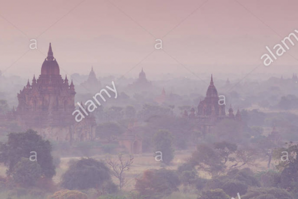 cropped_1598867064.jpg