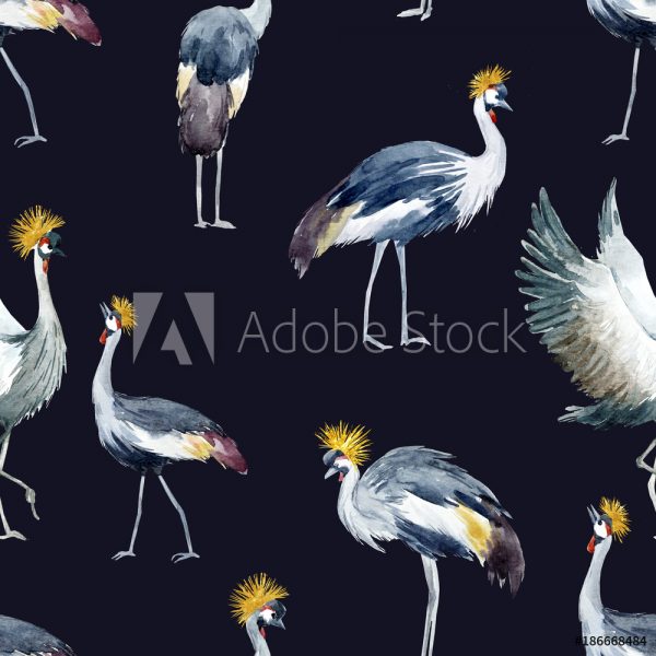 AdobeStock_186668484_Preview