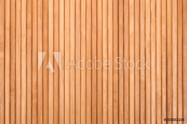 AdobeStock_255002108_Preview