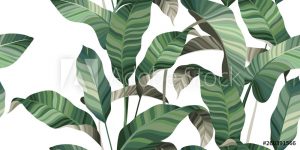 AdobeStock_260391566_Preview