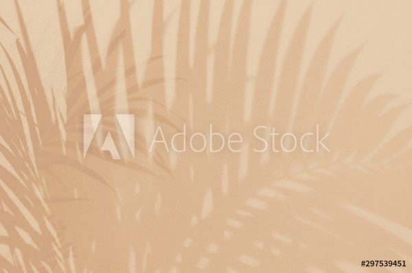 AdobeStock_297539451_Preview