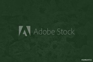 AdobeStock_329615721_Preview