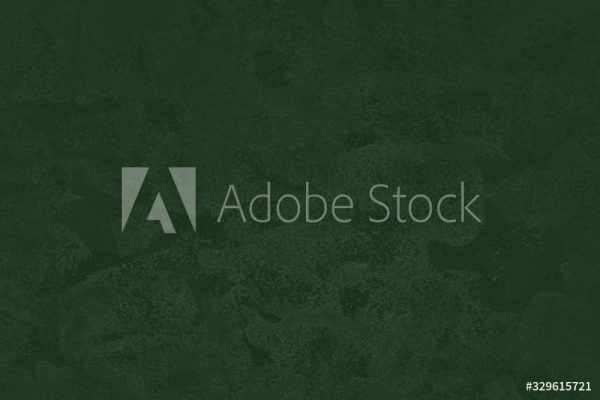 AdobeStock_329615721_Preview
