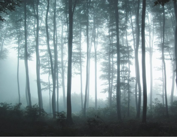 cropped_1599457987.jpg