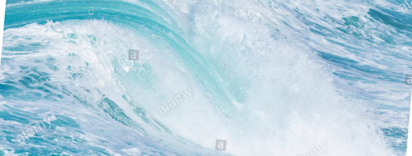cropped_1599608635.jpg