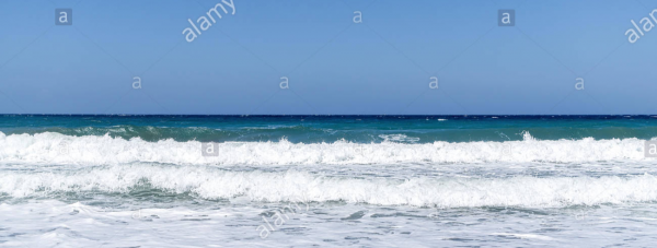 cropped_1599609311.jpg