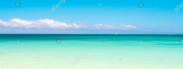 cropped_1599609774.jpg