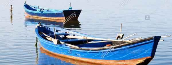 cropped_1599610099.jpg
