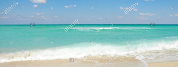 cropped_1599610659.jpg
