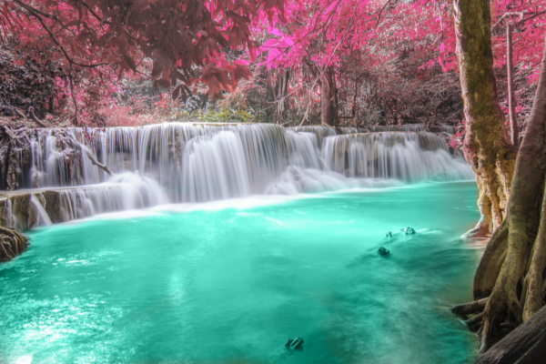 cropped_1599705557.jpg