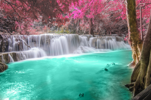 cropped_1599705638.jpg