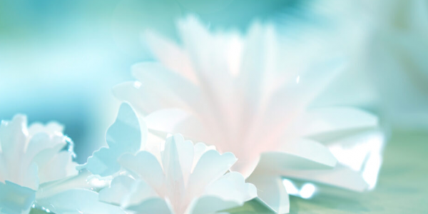 cropped_1599724341.jpg