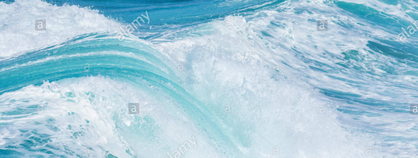 cropped_1599736440.jpg