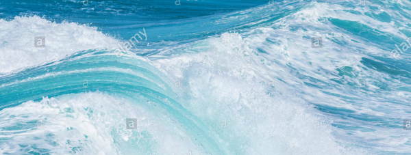 cropped_1599736483.jpg