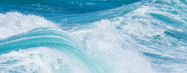 cropped_1599964853.jpg