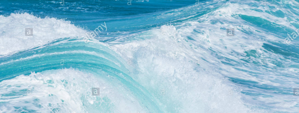 cropped_1599964905.jpg