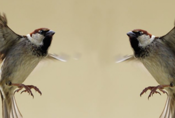 cropped_1600044896.jpg