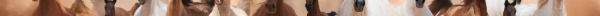 cropped_1600058054.jpg