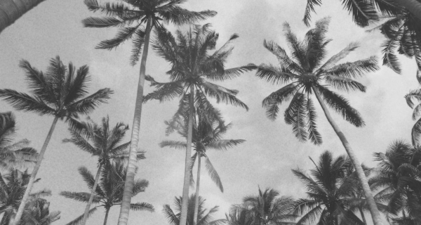 cropped_1600481190.jpg