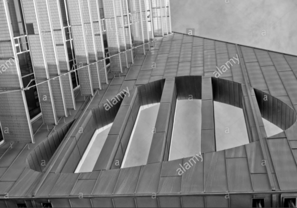 cropped_1600521819.jpg